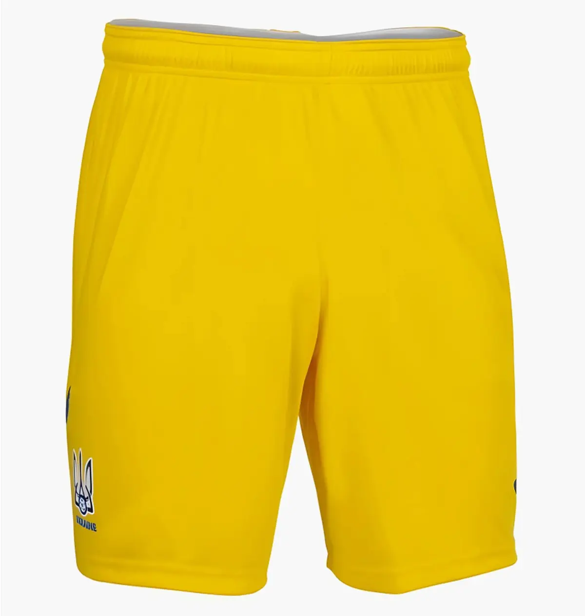 Шорты мужские Joma 2021