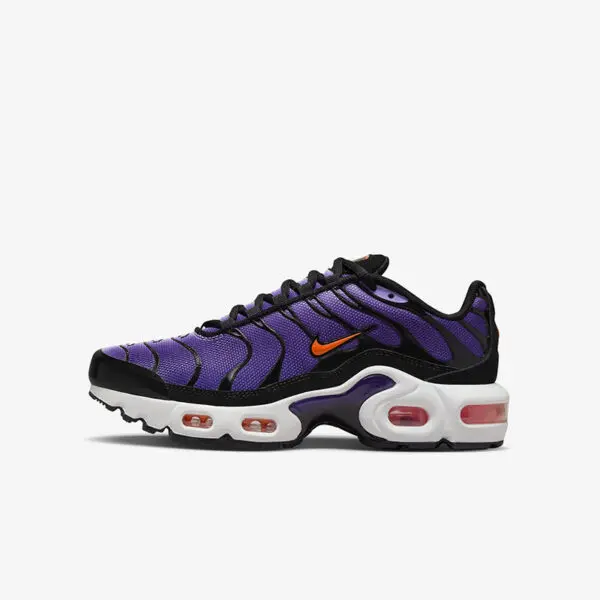 Кросівки жіночі Nike Air Max Plus Gs