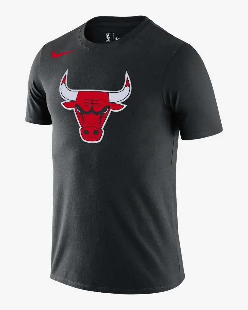 Футболка мужская Nike Chicago Bulls Dri-FIT черная DA6005-010