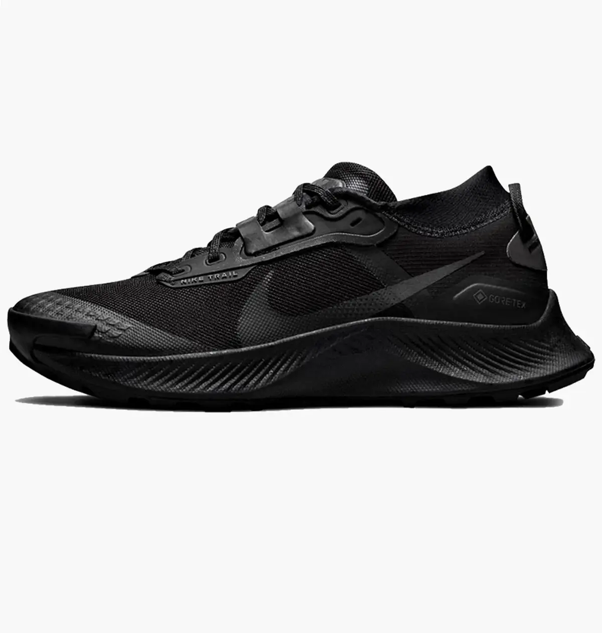 Кроссовки для бега женские Nike Pegasus Trail 3 Gtx