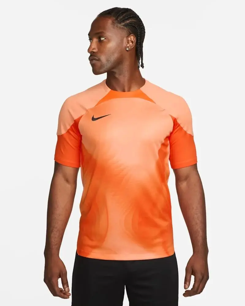 Футболка мужская Nike Dri-FIT Gardien 4 Goalkeeper