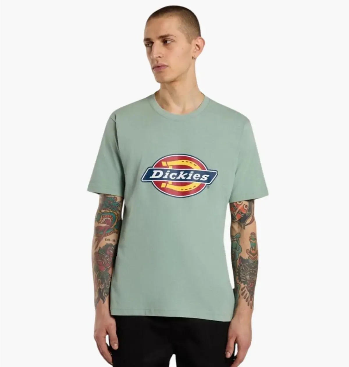 Футболка унисекс Dickies Icon Logo Turquoise
