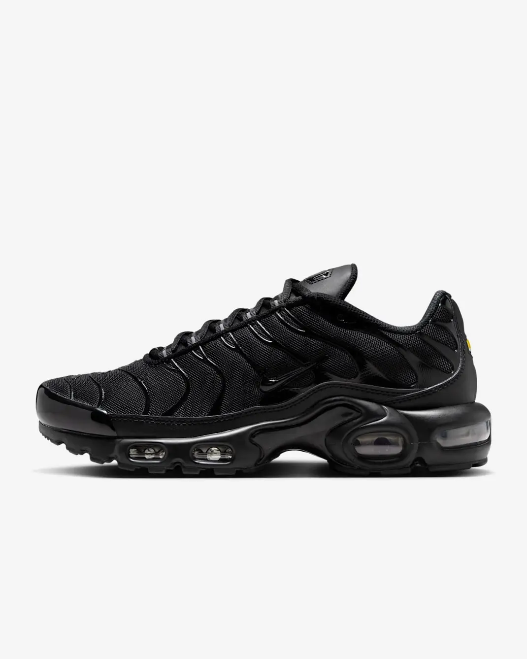 Кроссовки женские Nike Air Max Plus