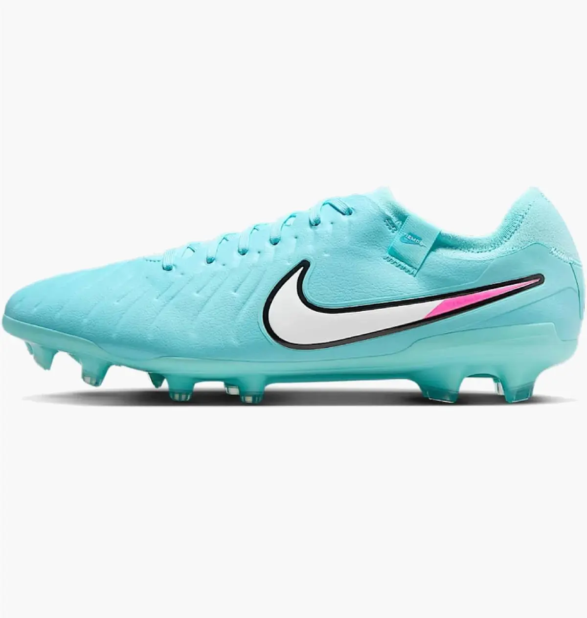 Бутсы мужские Nike Legend 10 Pro Fg