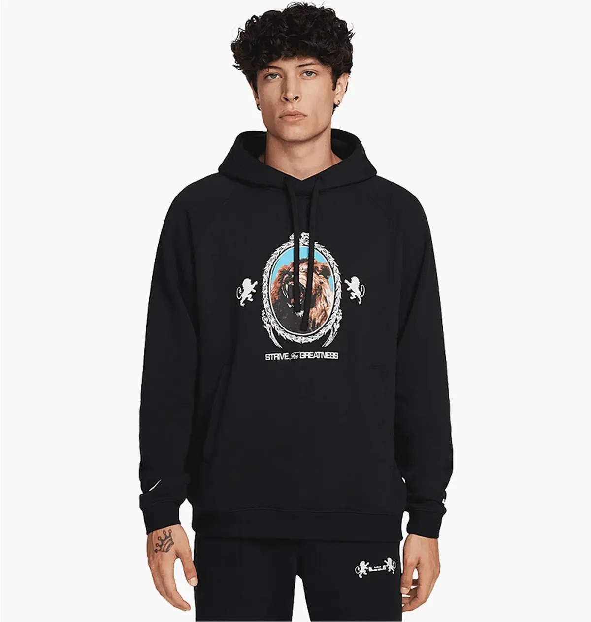 Кофта мужская Nike Lebron James Brush Pull-Over
