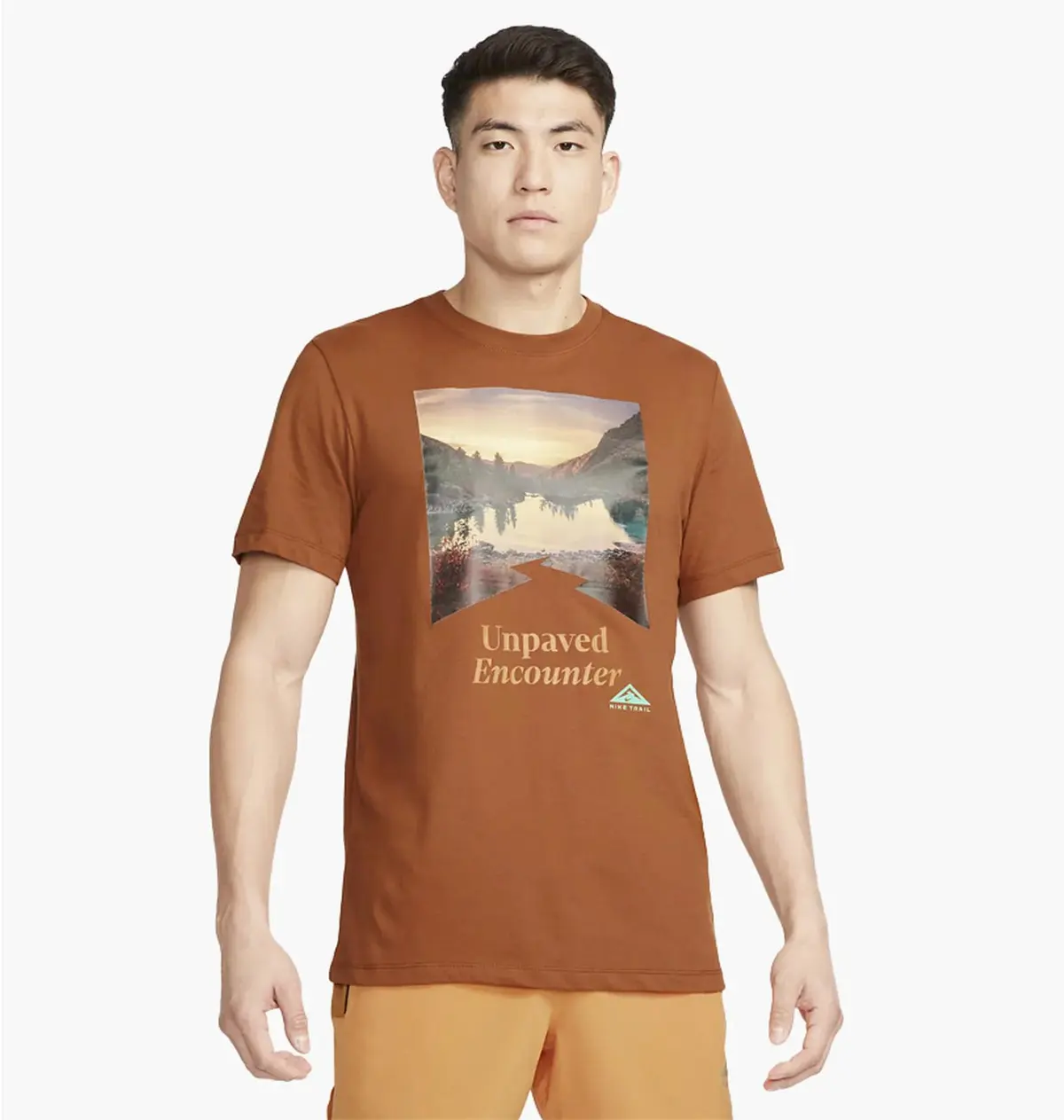 Футболка чоловіча Nike Trail Dri-Fit Running T-Shirt Brown