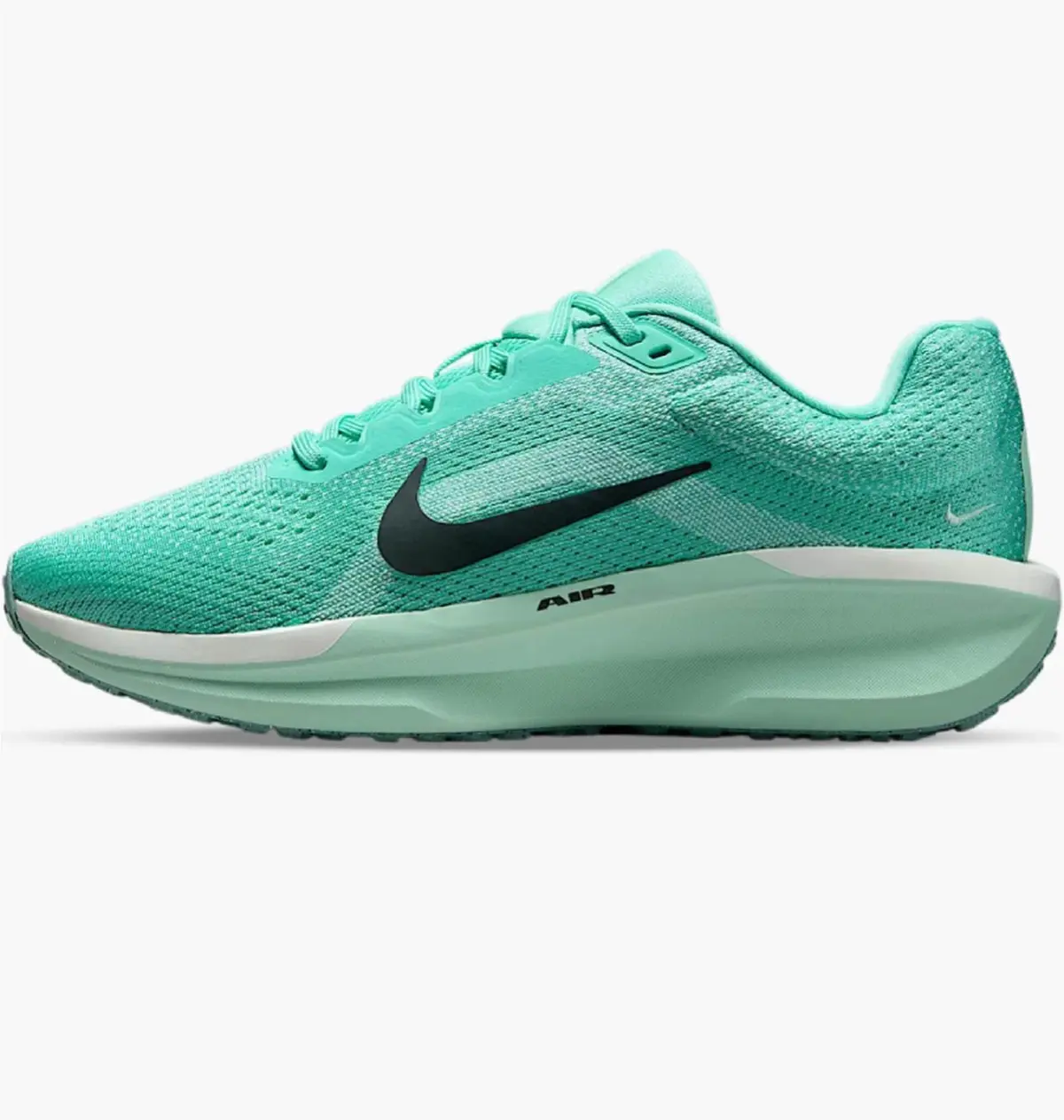 Кросівки жіночі Nike Air Winflo 11 Turquoise