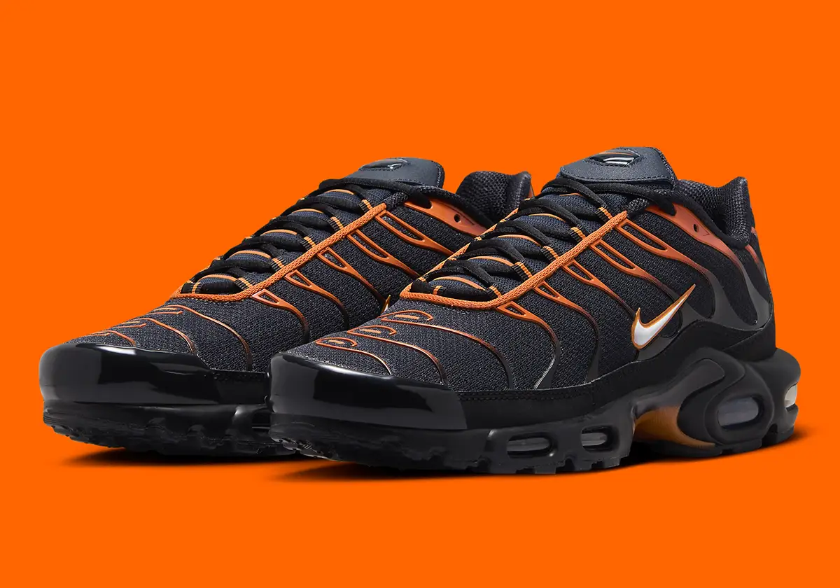 Кроссовки мужские Nike Air Max Plus