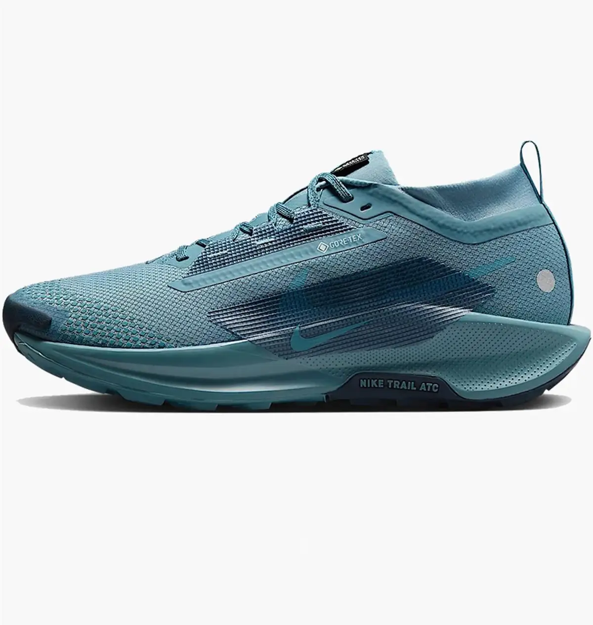 Кросівки чоловічі Nike Pegasus Trail 5 Gore-Tex