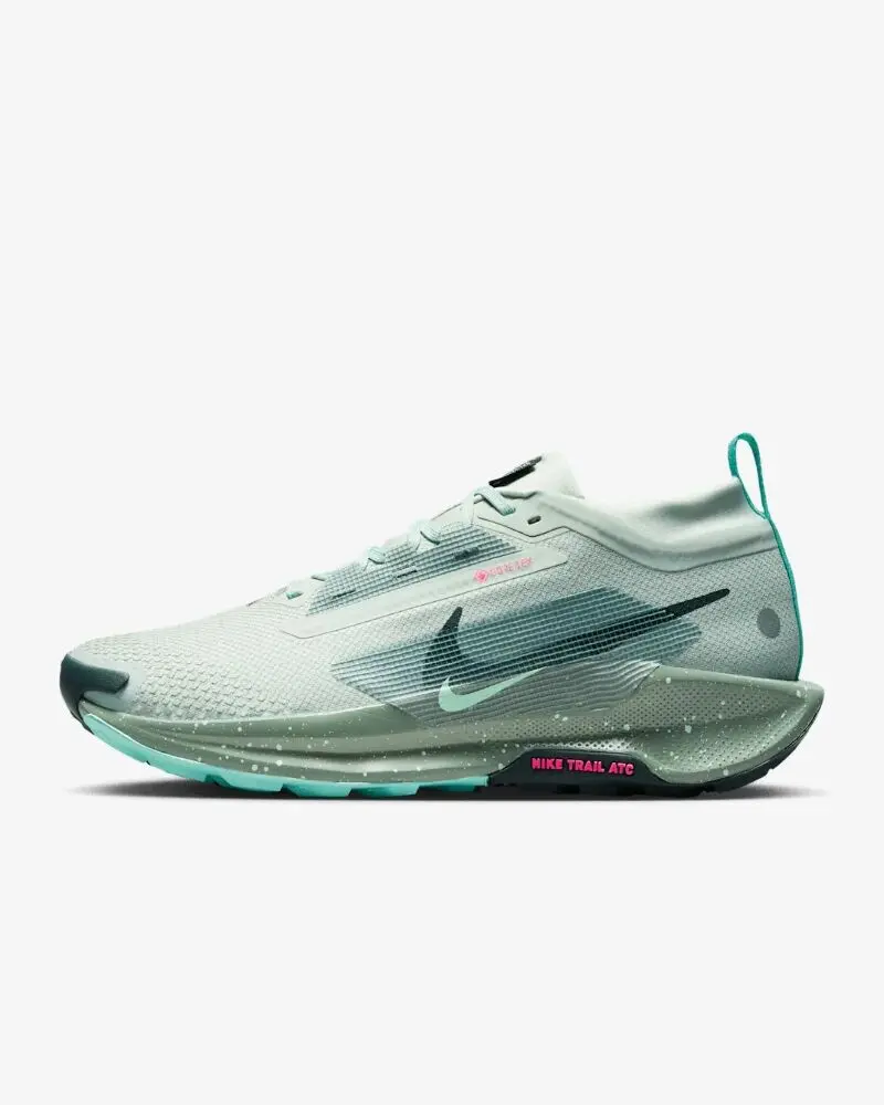 Кроссовки мужские Nike Pegasus Trail 5 Gore-Tex серые FQ0908-013