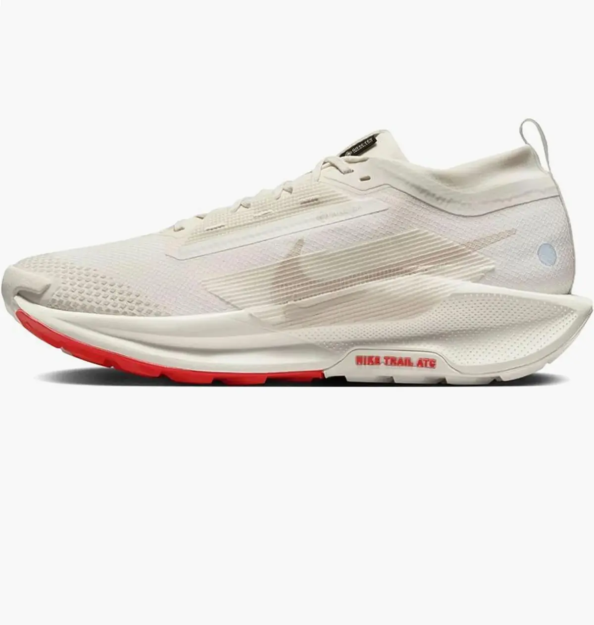 Кросівки чоловічі Nike Trail 5 Gore-Tex