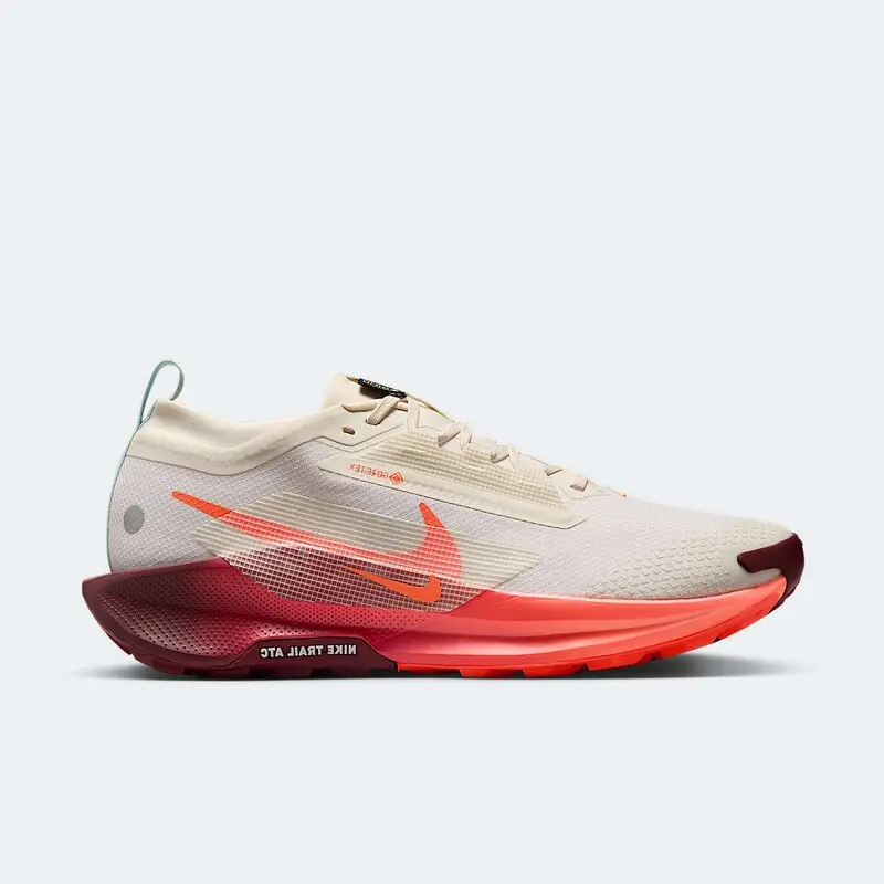Кросівки чоловічі Nike Pegasus Trail 5 Gtx