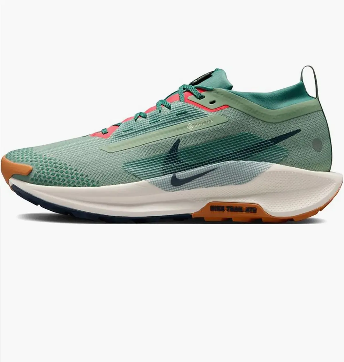 Кросівки чоловічі Nike Pegasus Trail 5 Gore-Tex