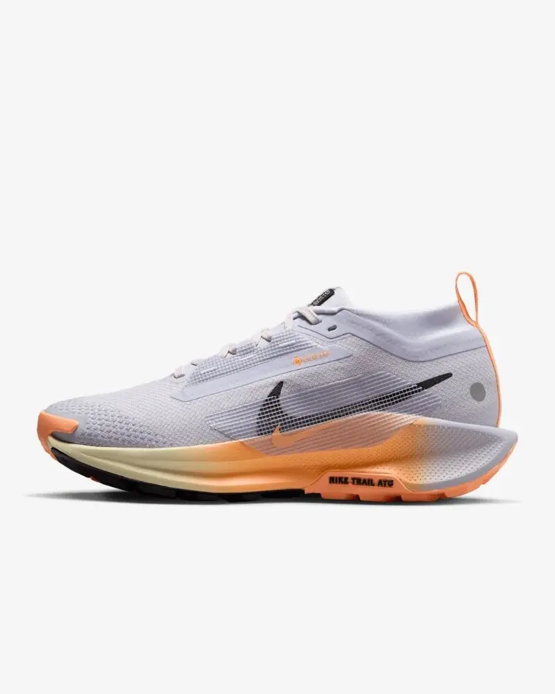 Кроссовки женские Nike Pegasus Trail 5 Gore-Tex черные FQ0912-011