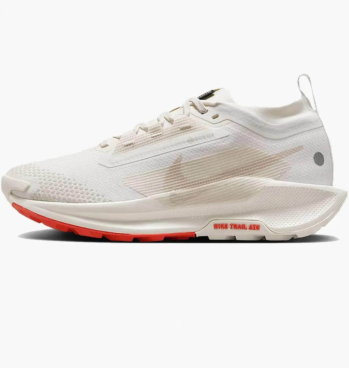Кросівки для бігу жіночі Nike Pegasus Trail 5 Gore-Tex