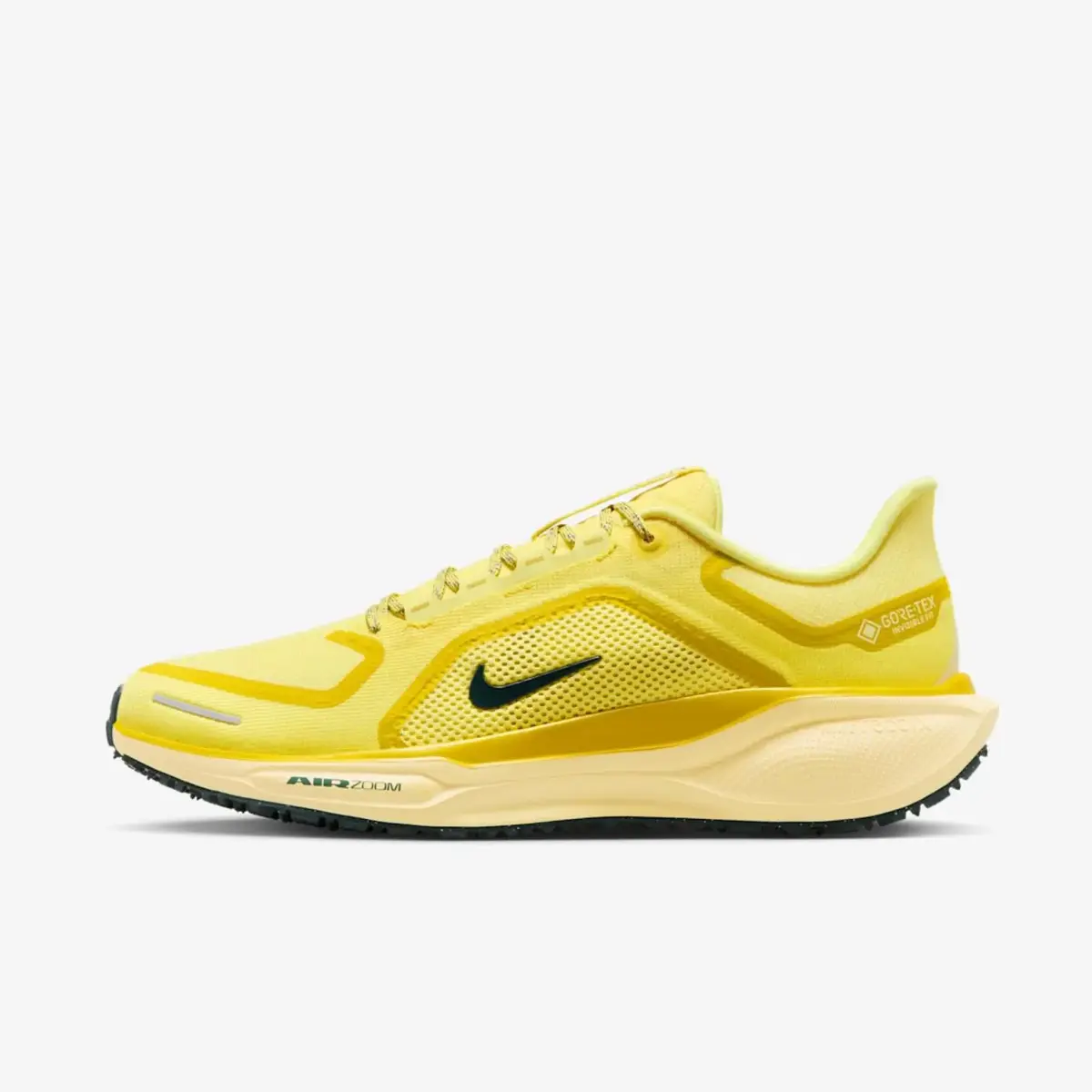 Кросівки чоловічі Nike Pegasus 41 Gore-Tex