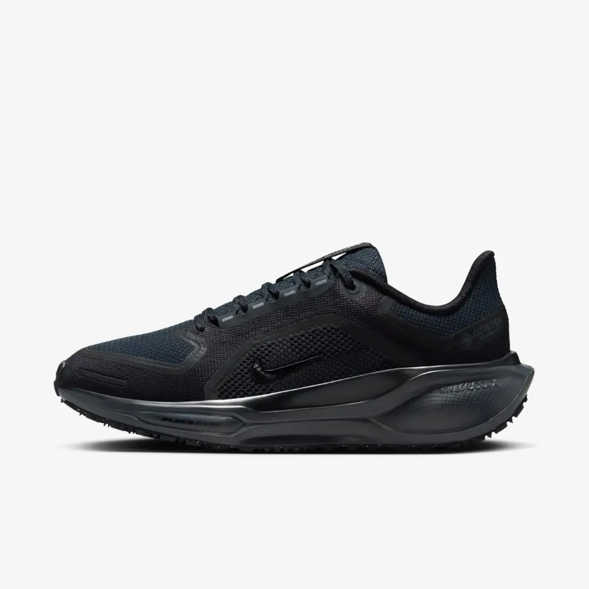 Кросівки жіночі Nike Pegasus 41 Gore-Tex