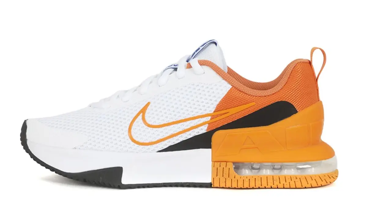 Кроссовки мужские Nike Air Max Alpha Trainer 6