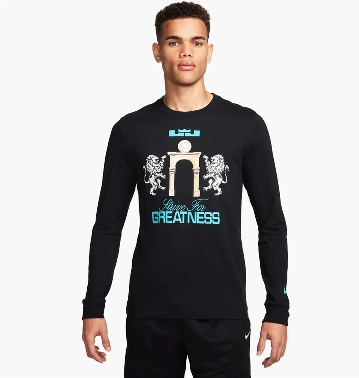 Кофта чоловіча Nike T-Shirtlebron