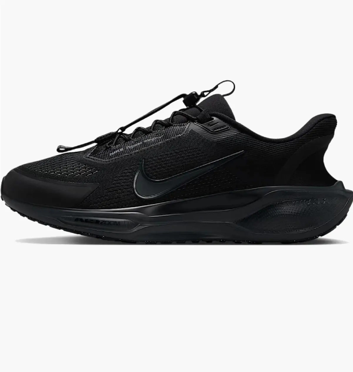 Кроссовки мужские Nike Pegasus Easyon Black