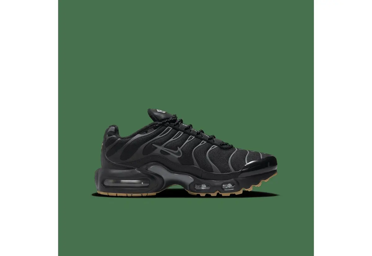 Кроссовки женские Nike Air Max Plus