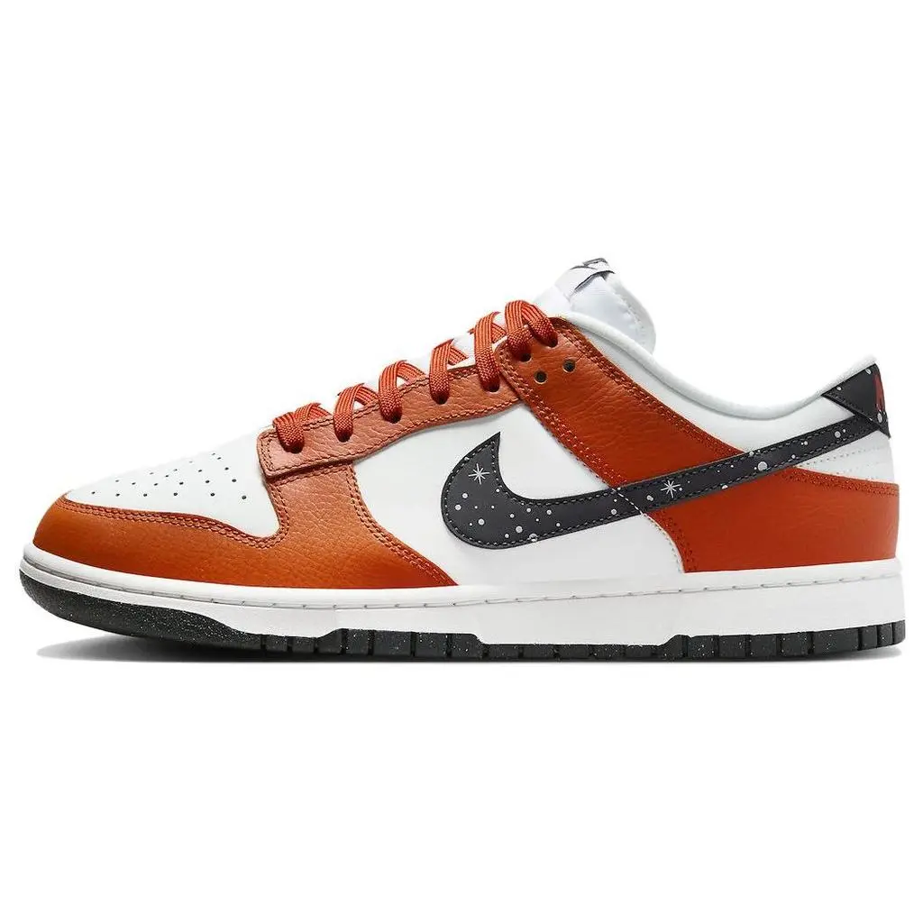 Кроссовки мужские Nike Dunk Low Starry