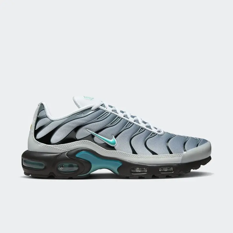 Кроссовки мужские Nike Air Max Plus One Block Down
