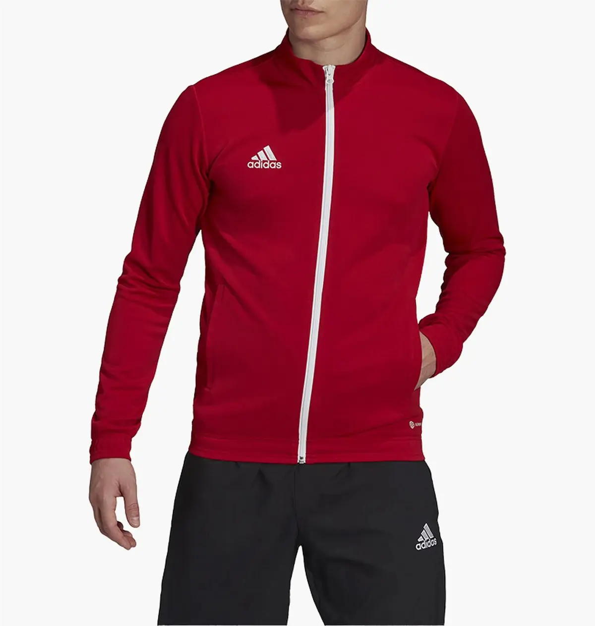 Кофта чоловіча Adidas Jacket Ent22 Tk Jkt Red