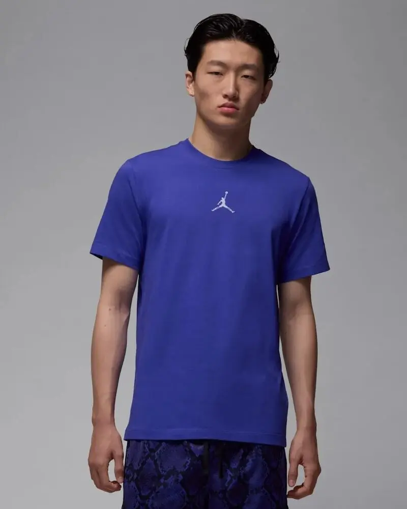 Футболка чоловіча Nike Sport Dri-FIT