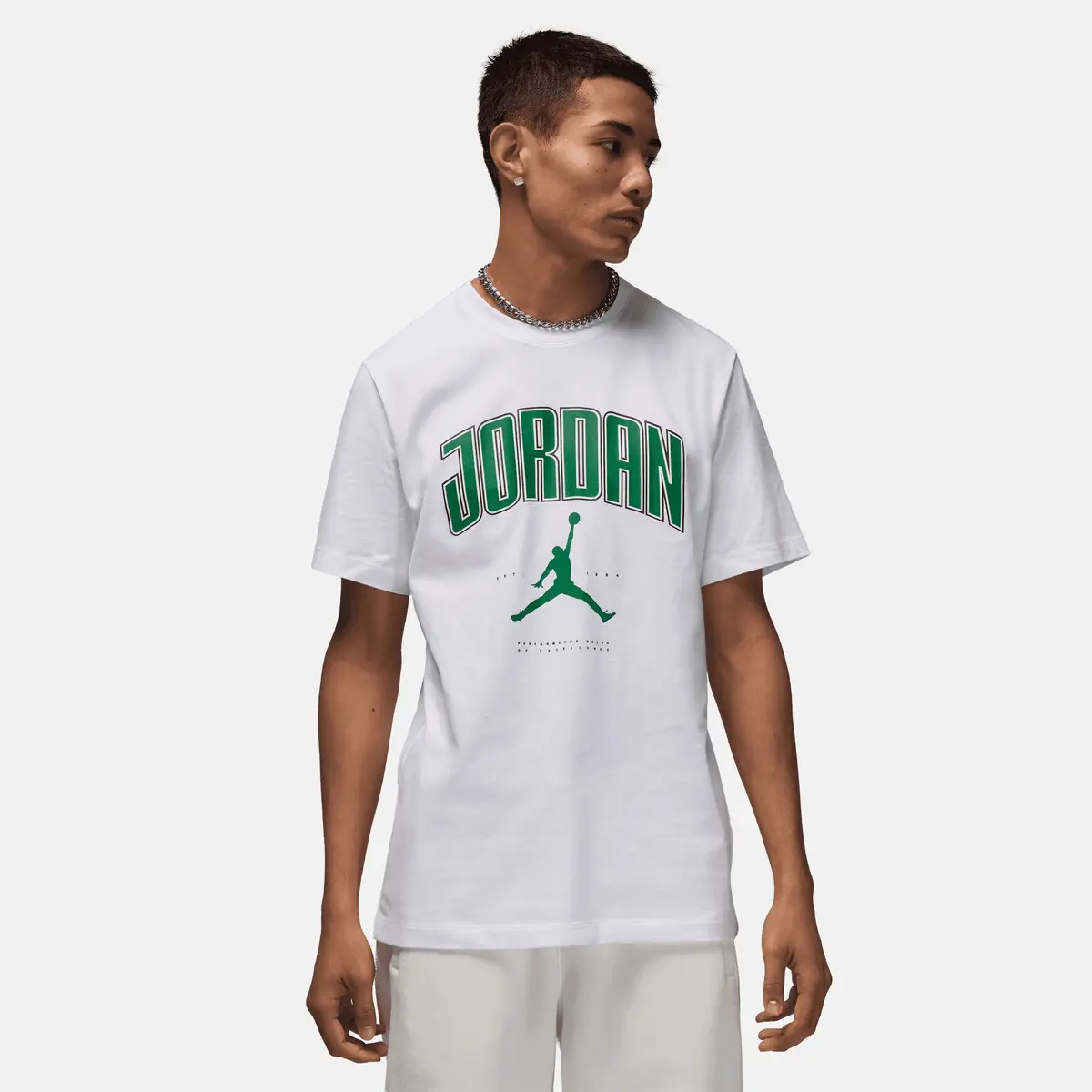 Футболка мужская Jordan Air Pine