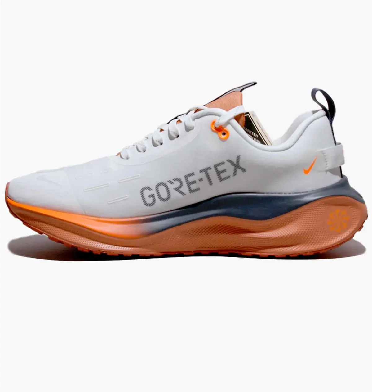 Кроссовки женские Nike Eact Infinity Run 4 Gore Tex