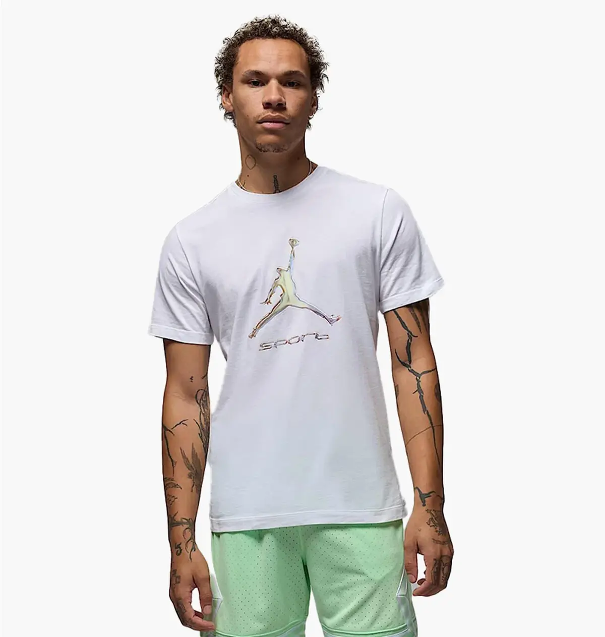 Футболка мужская Jordan Sport Dri-Fit T-Shirt