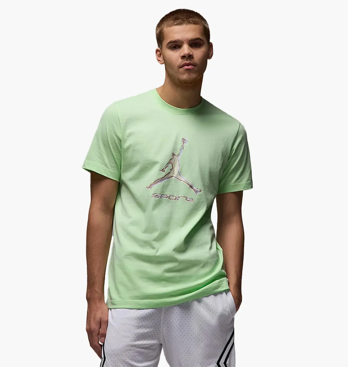 Футболка мужская Jordan Sport Dri-Fit T-Shirt