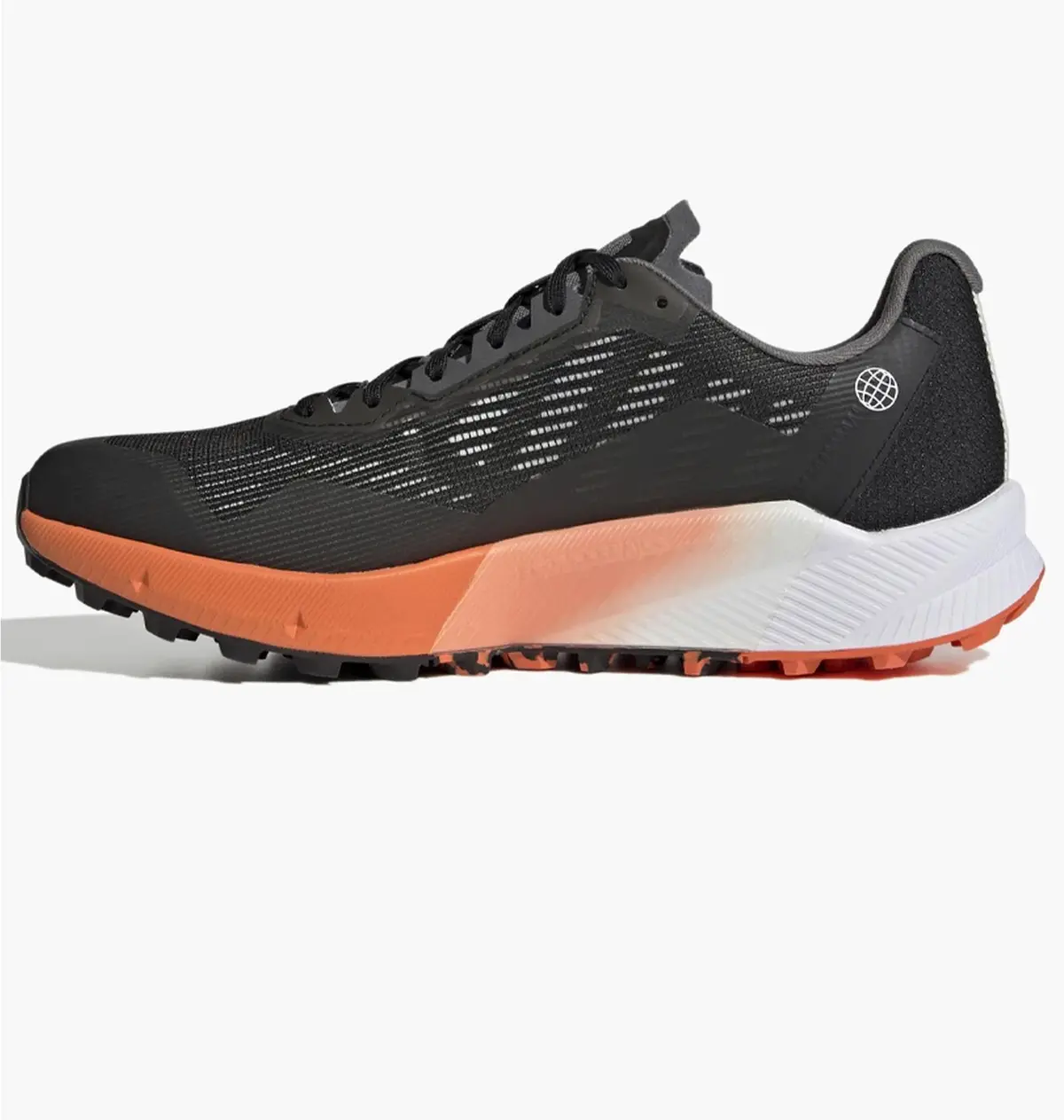 Кросівки чоловічі Adidas Terrex Agravic Flow Gore-Tex