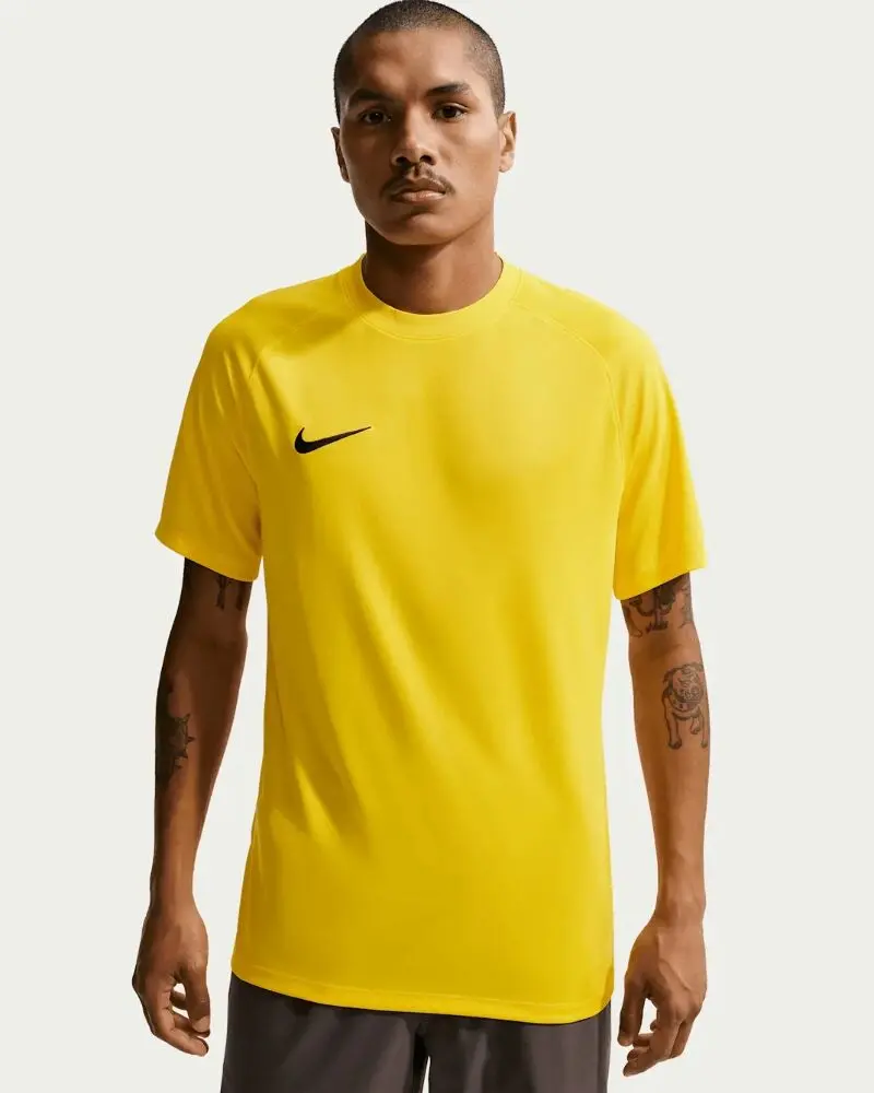 Футболка чоловіча Nike Dri-FIT Park VIII