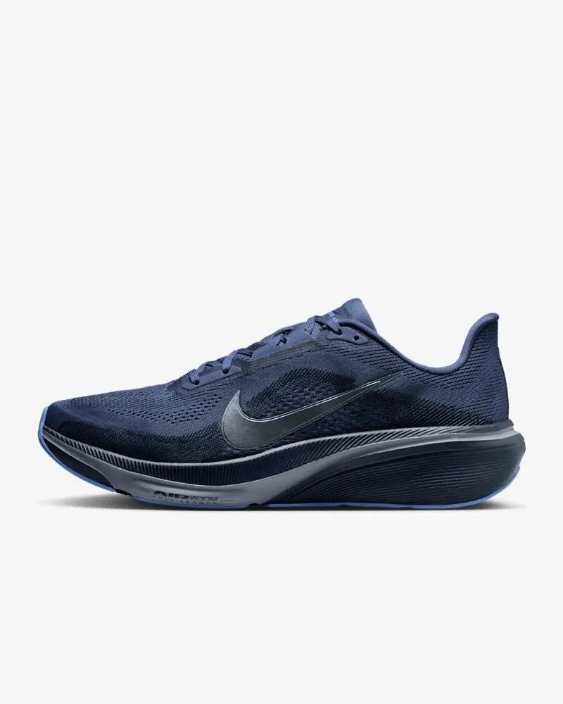 Кроссовки мужские Nike Pegasus 42