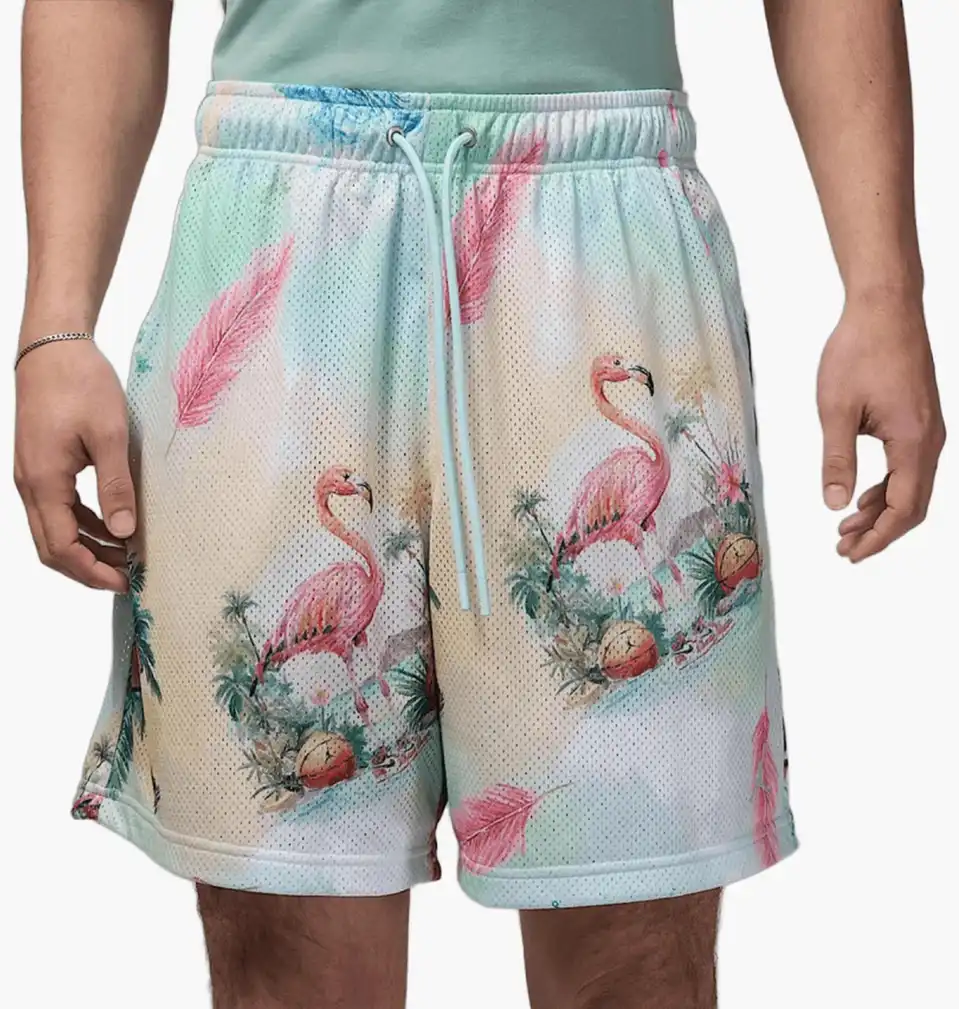 Шорти чоловічі Jordan Essentials Multi