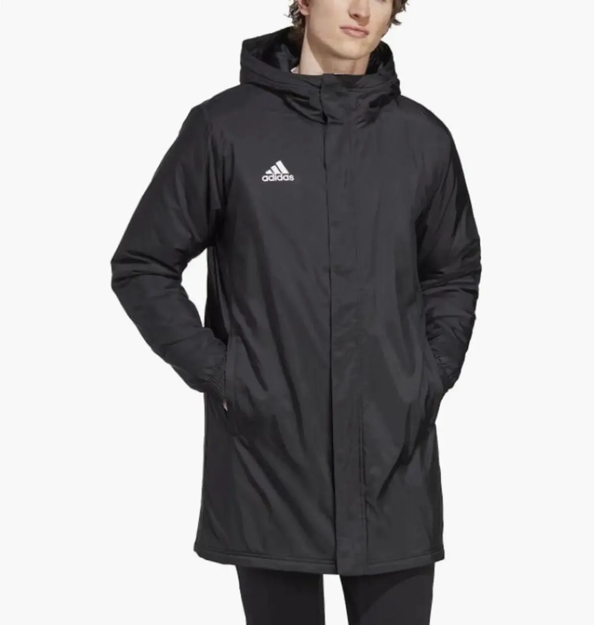 Куртка мужская Adidas Ent22 Stadjk