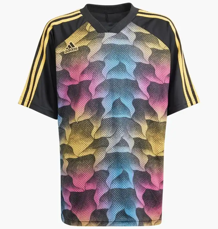 Футболка детская Adidas Tiro Summer Tee разноцветная IN1886