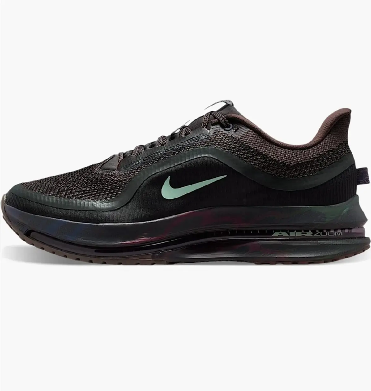Кроссовки мужские Nike Pegasus Premium Ironstone черные IR7546-030