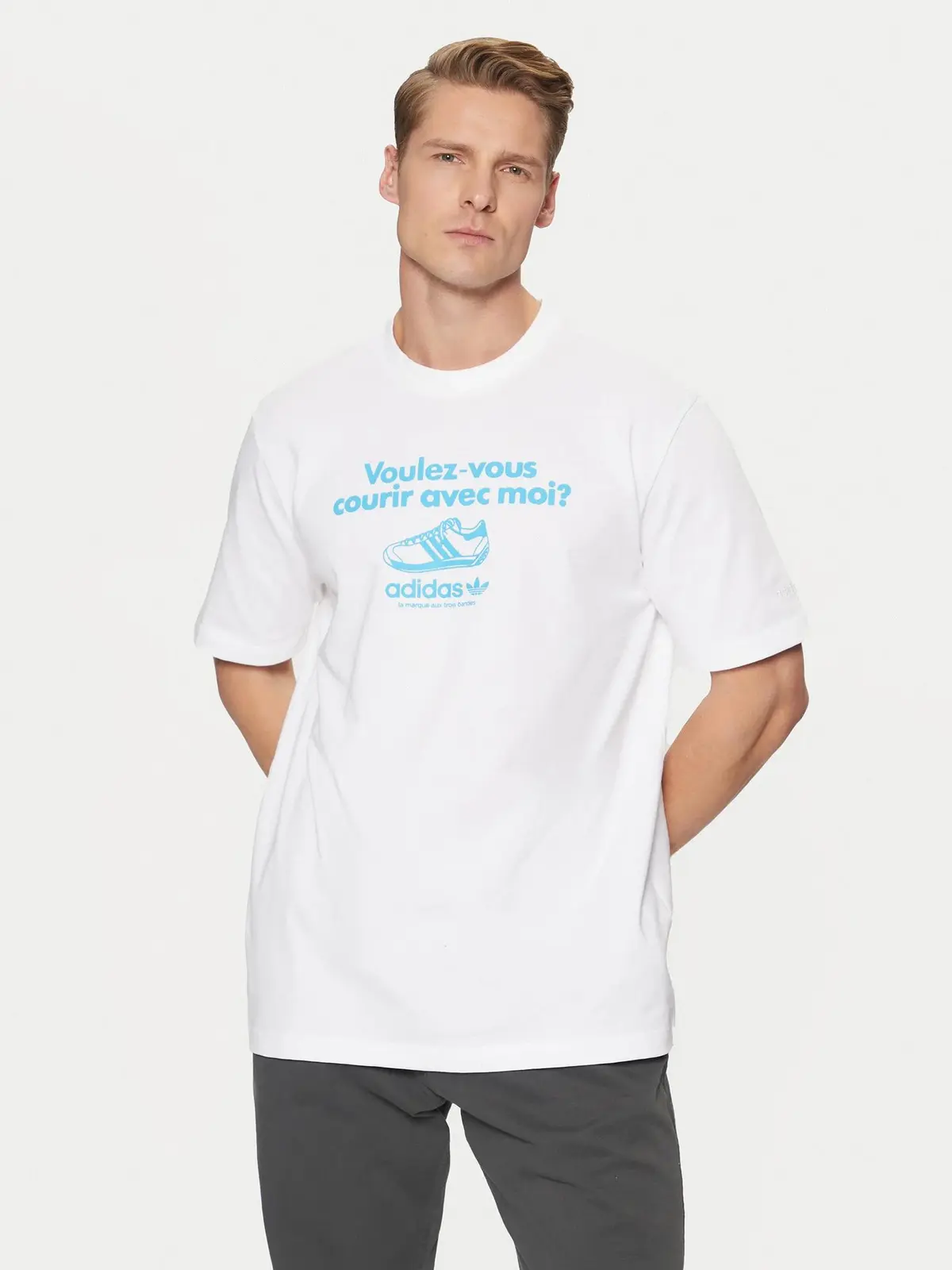Футболка чоловіча Adidas Graphic Originals