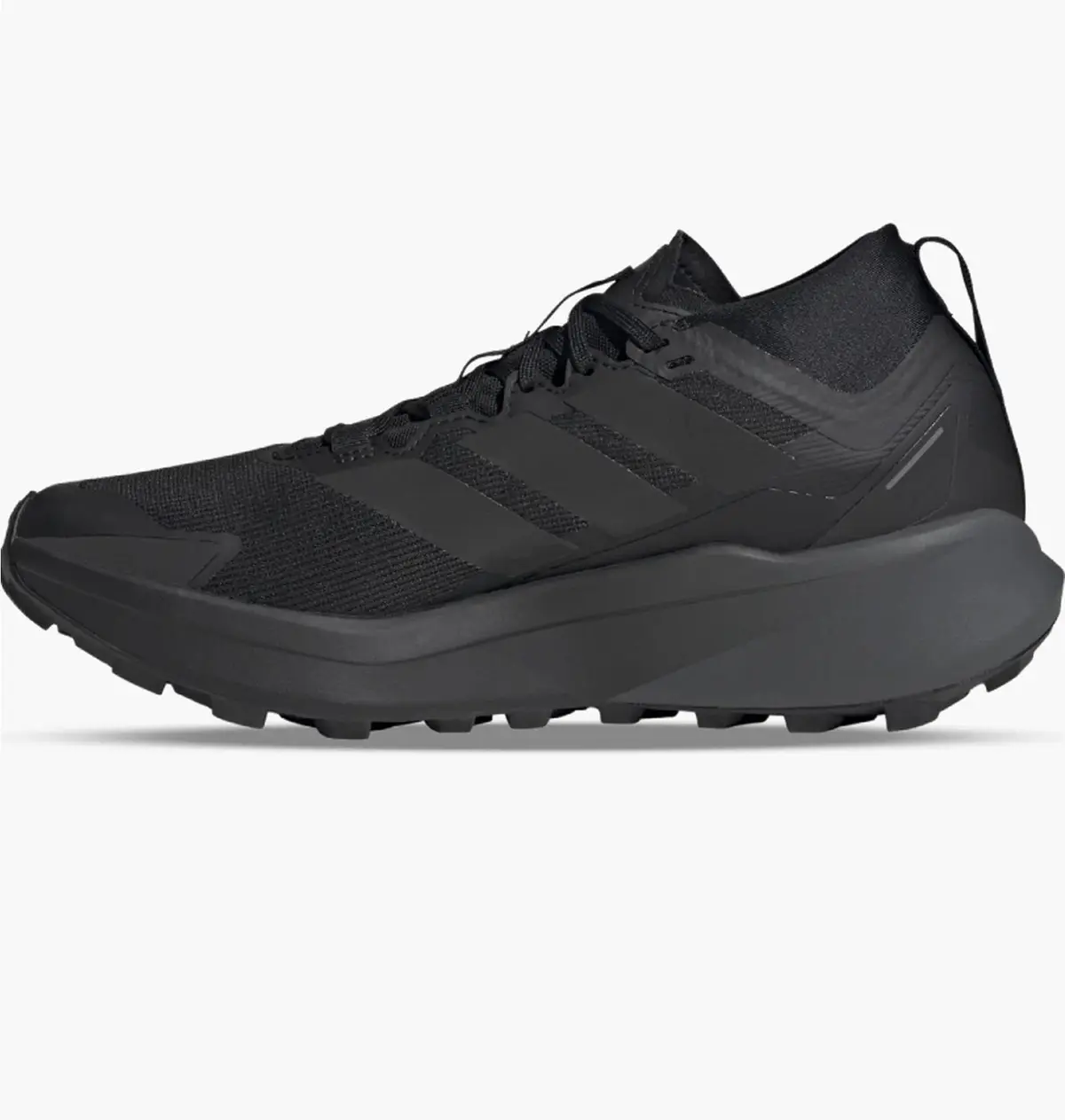Кроссовки мужские Adidas Terrex Agravic Gtx Black