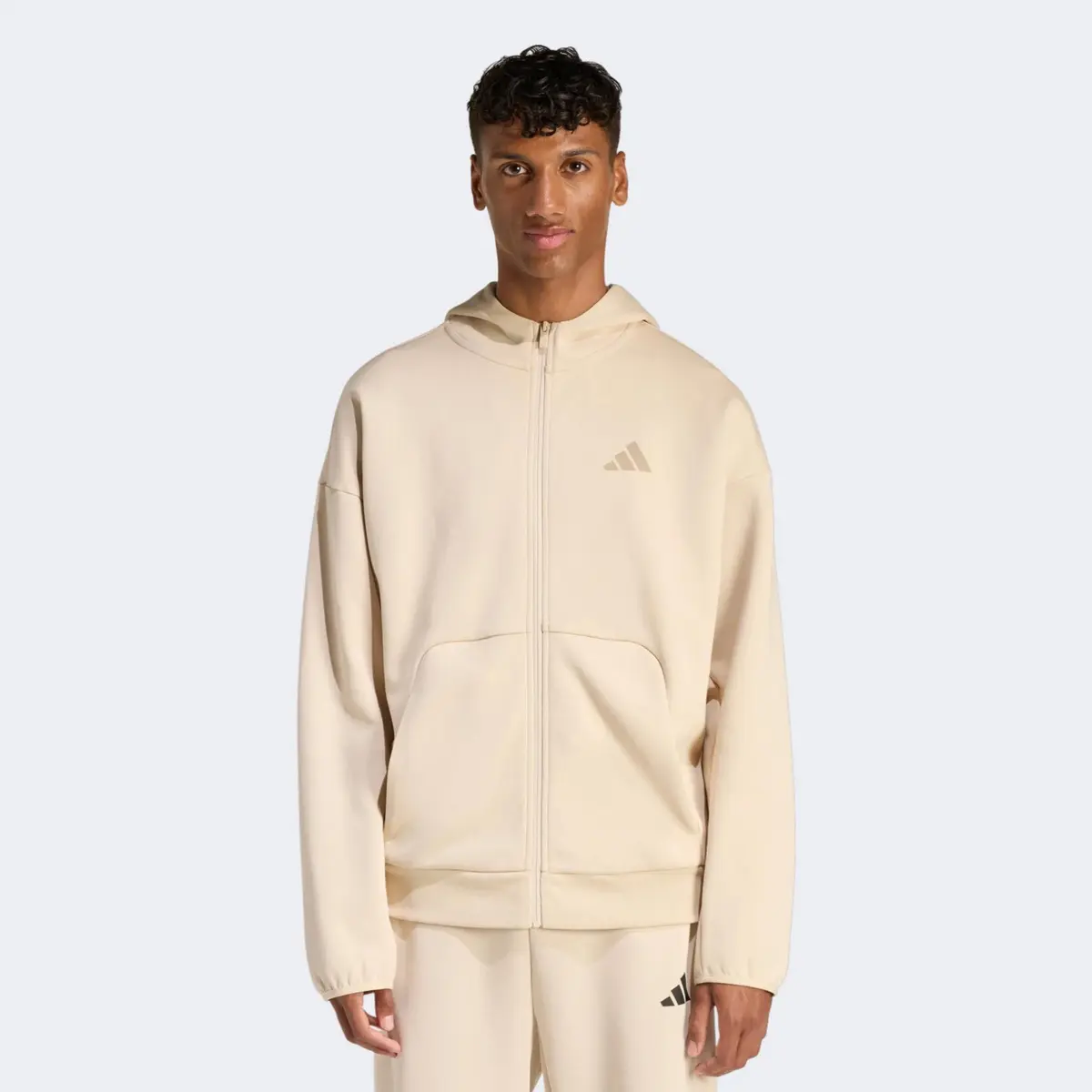 Кофта чоловіча Adidas Future Icons Small Logo Full-Zip