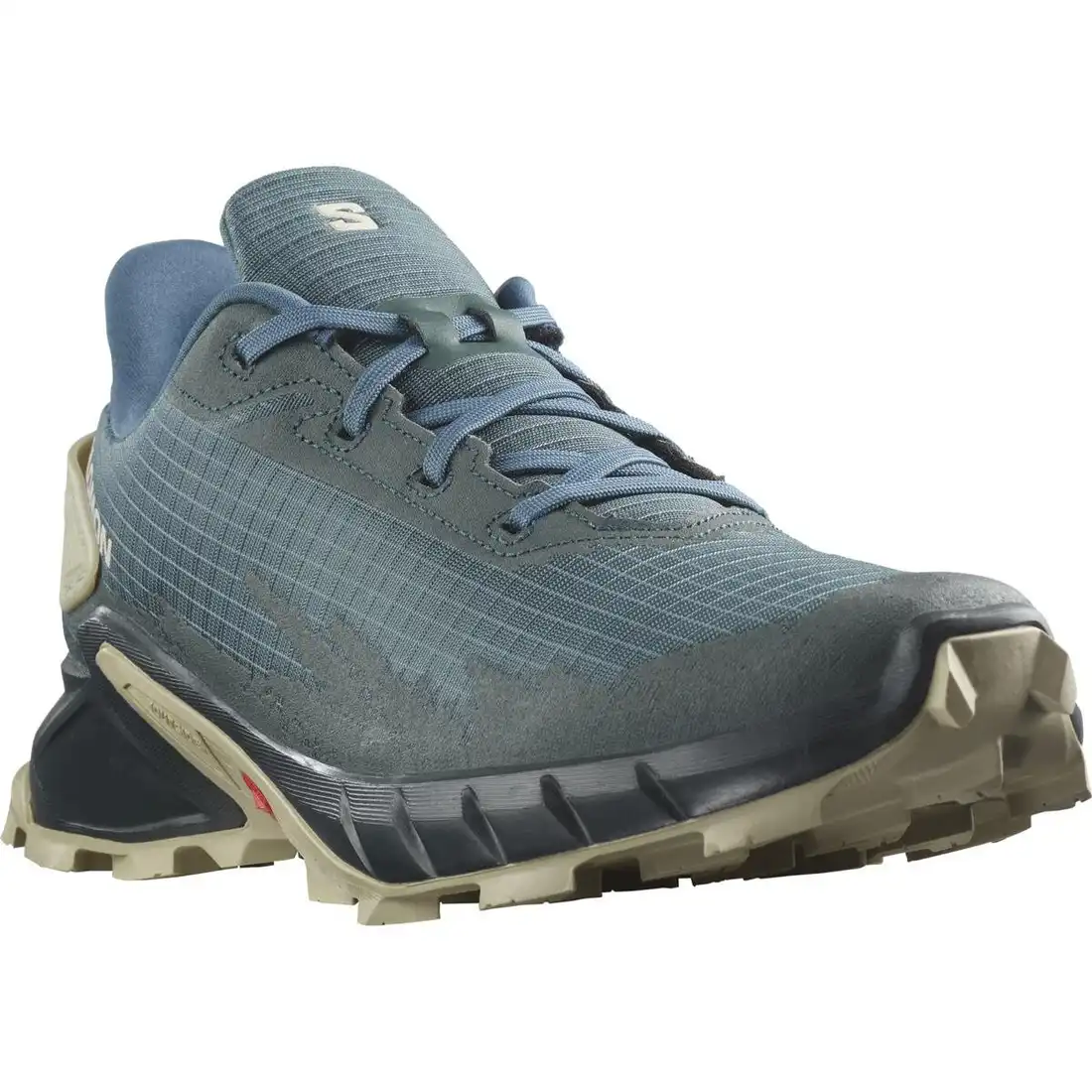 Кросівки чоловічі Salomon Alphacross 4
