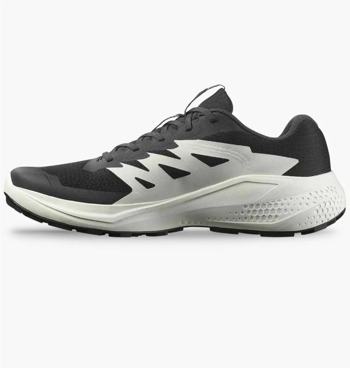 Кросівки чоловічі Salomon Alphaglide Black