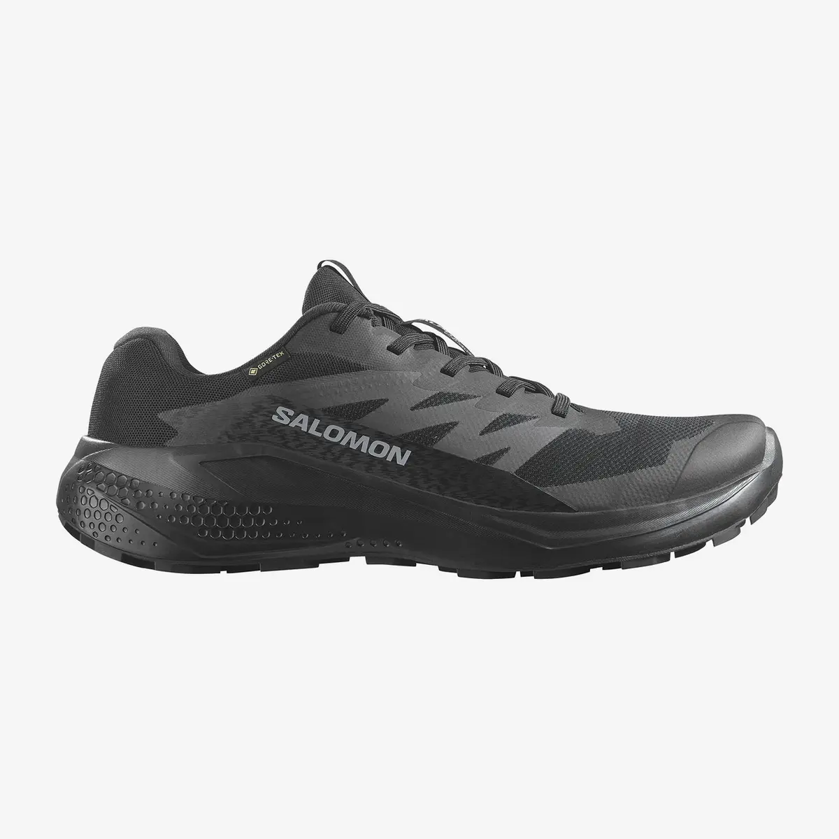 Кросівки чоловічі Salomon Alphaglide Gore-Tex