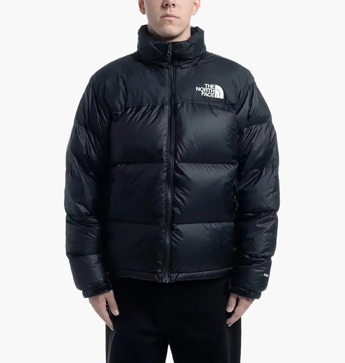 Куртка мужская The North Face 1996