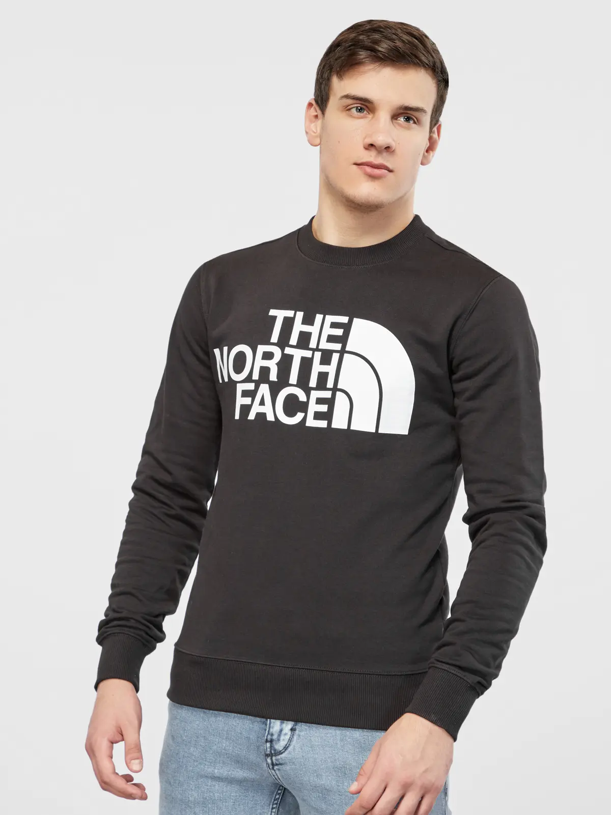 Кофта чоловіча The North Face Standard Crew