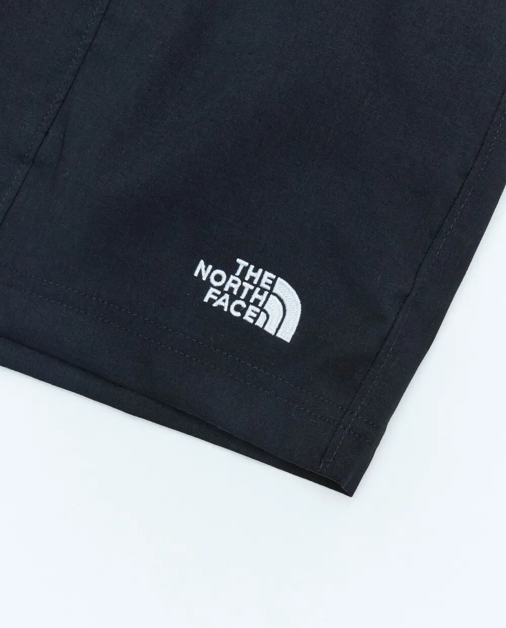 Шорты мужские The North Face Class V Pull On
