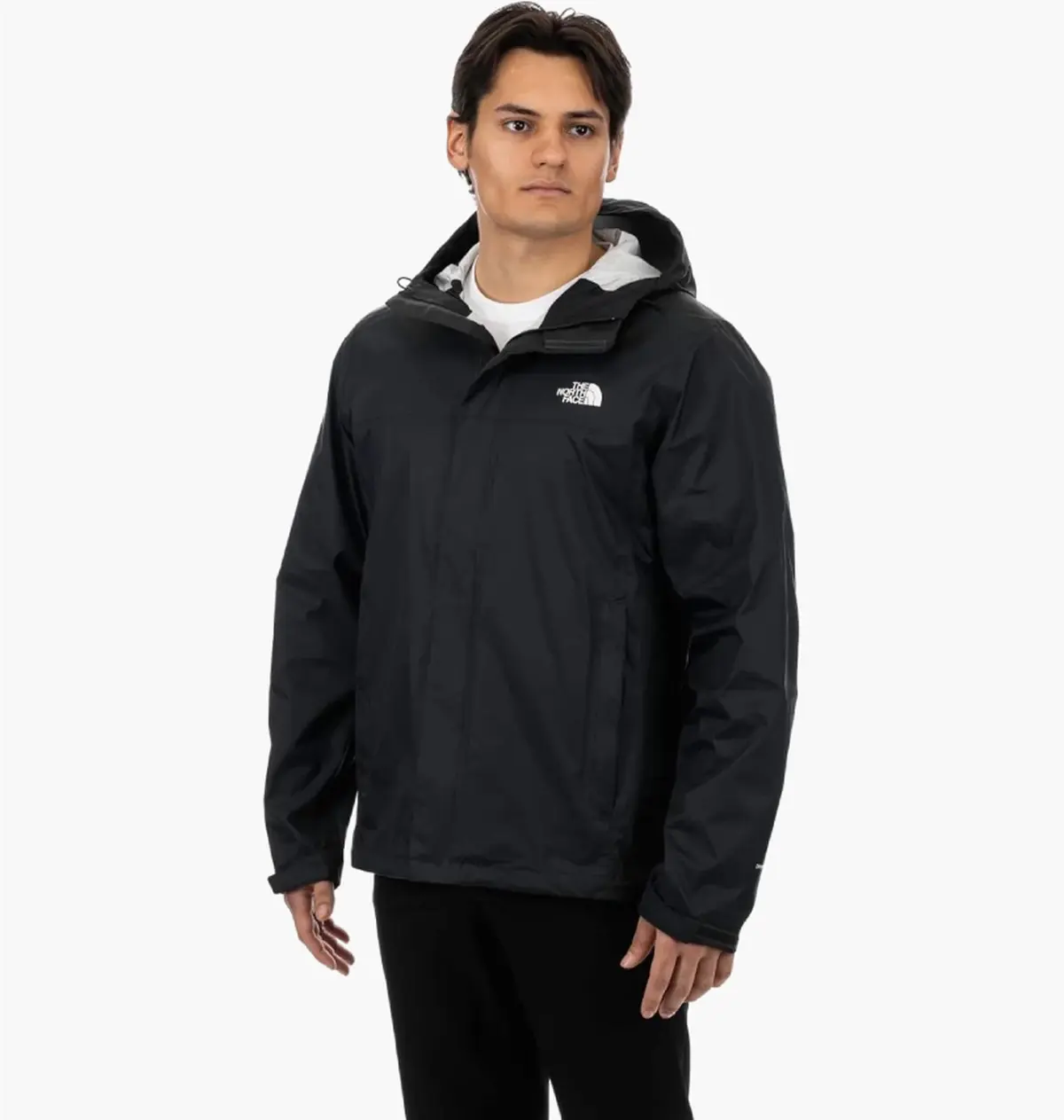 Куртка мужская The North Face Half Dome Print Driving Venture Black